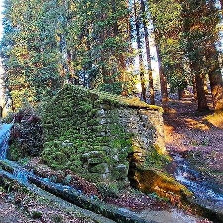 Matos Casas De Campo Cabeceiras de Basto ภายนอก รูปภาพ