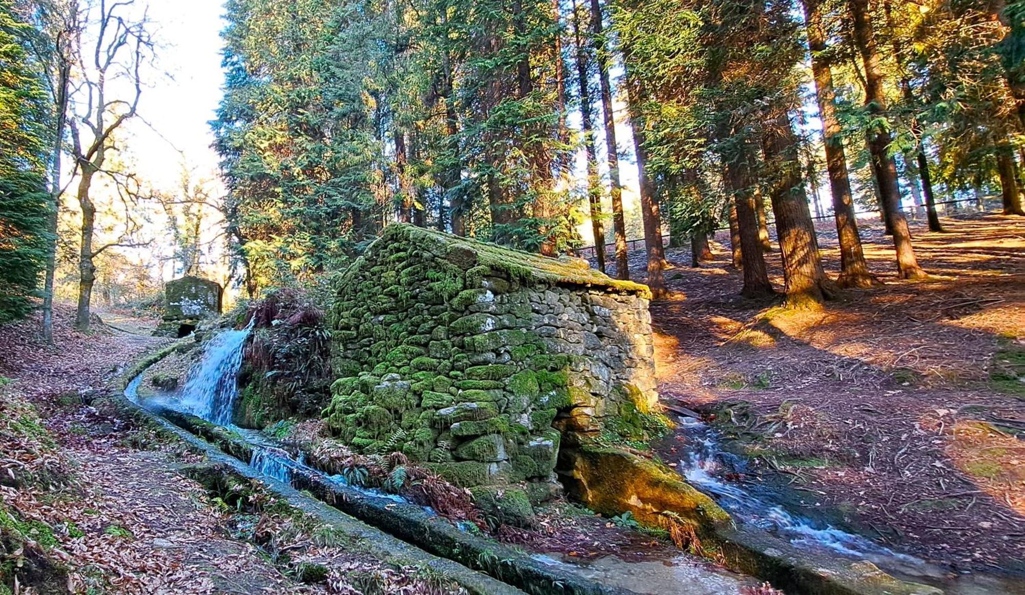 Matos Casas De Campo Cabeceiras de Basto ภายนอก รูปภาพ