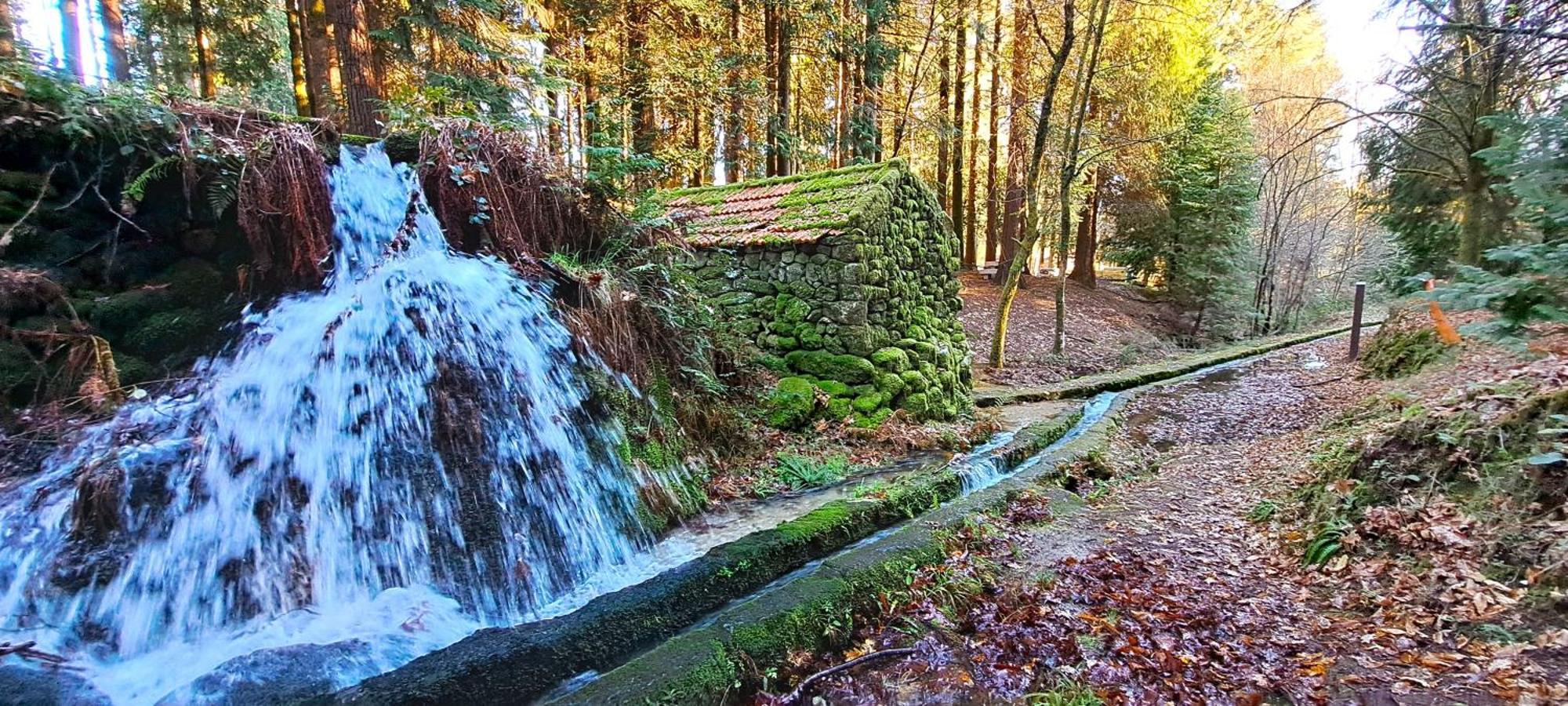 Matos Casas De Campo Cabeceiras de Basto ภายนอก รูปภาพ