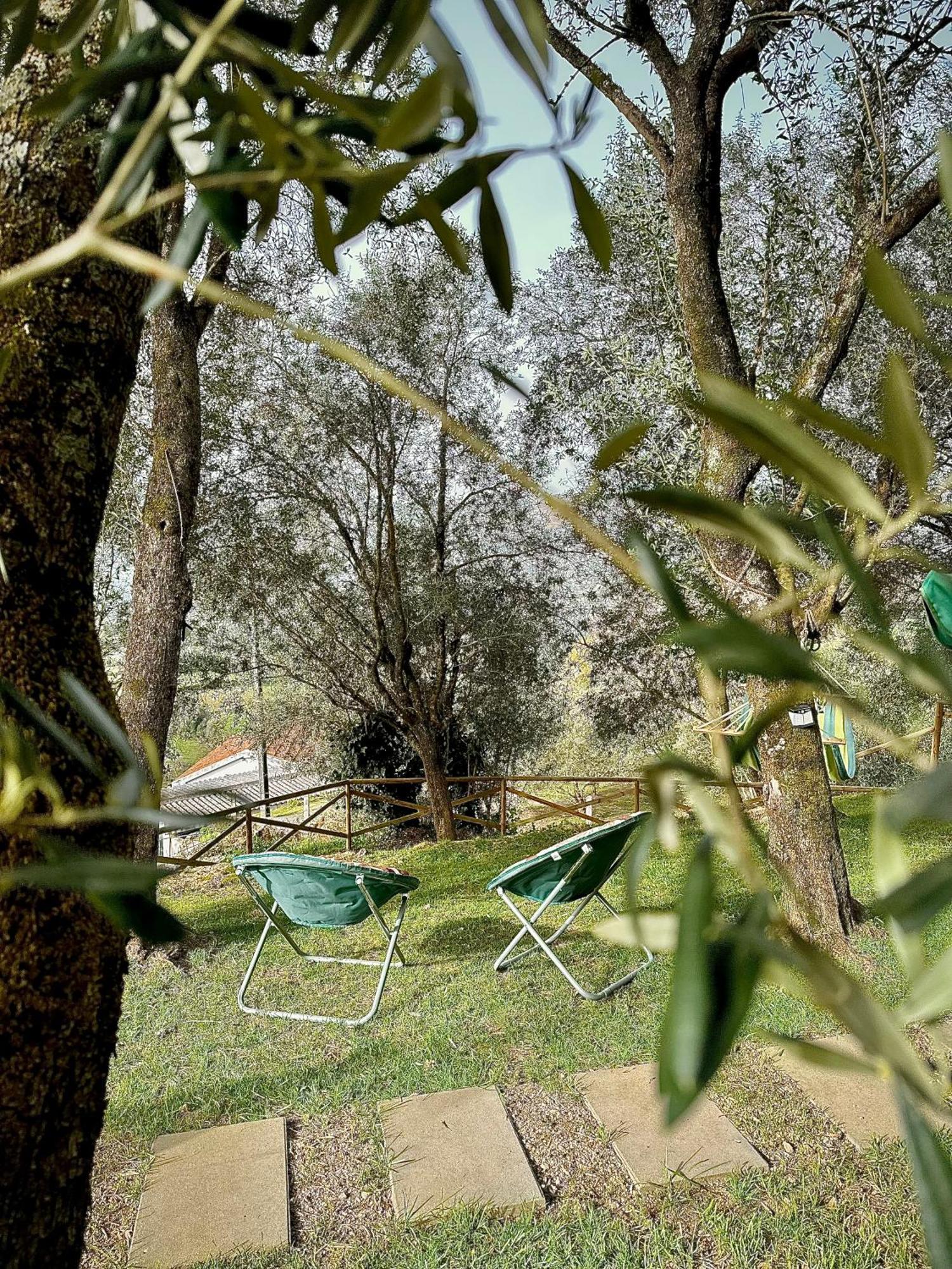 Matos Casas De Campo Cabeceiras de Basto ภายนอก รูปภาพ